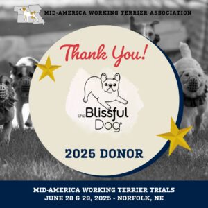 Thank you Blissful Dog