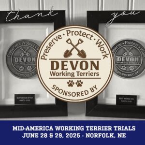 Devon Working Terriers