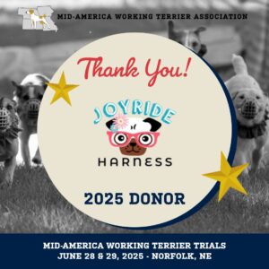 Than you Joyride Harness