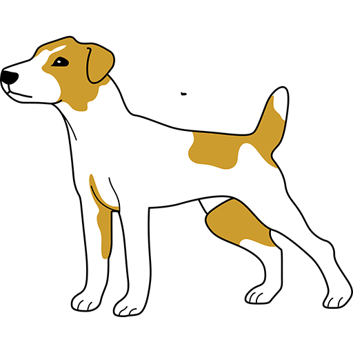 Jack Russell Terrier icon