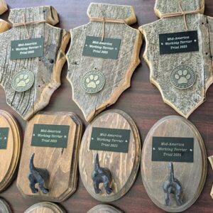 Trial awards on a table.