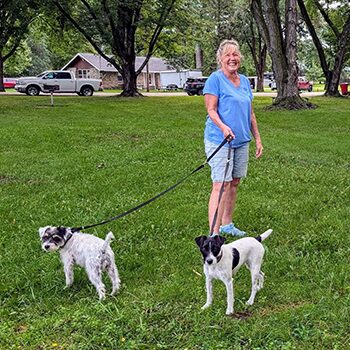A handler with two terriers on leashes. 