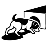 A jack russell terrier entering a go-to-ground tunnel. 
