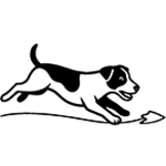 A jack russell terrier chasing a lure in the lure course. 